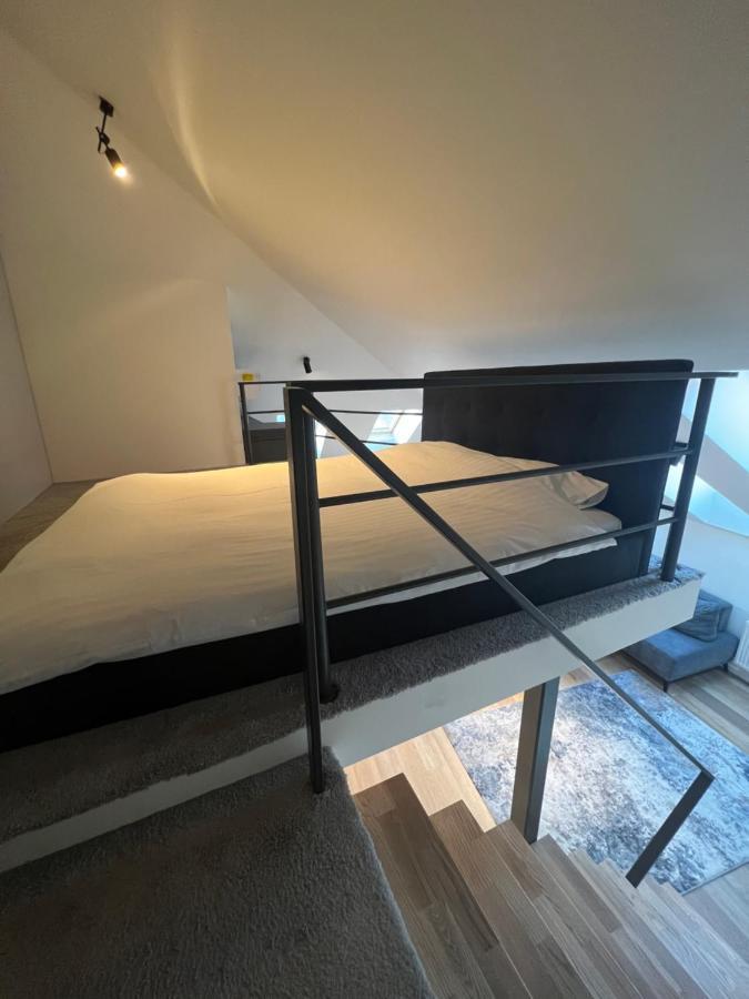 Huoneisto Loft 1 Bd Castle With Free Parking Kaunas